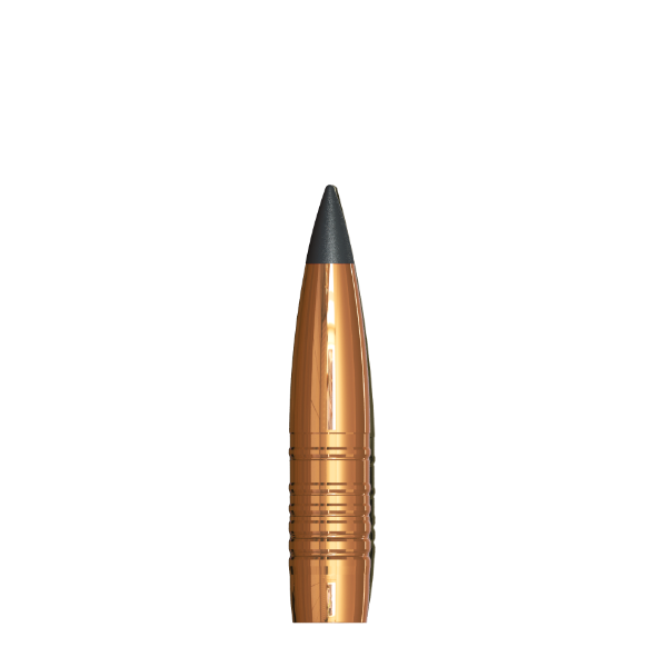 Projectiles Sax KJG-S 9,5 mm / .375, 21.89g / 337.81gr