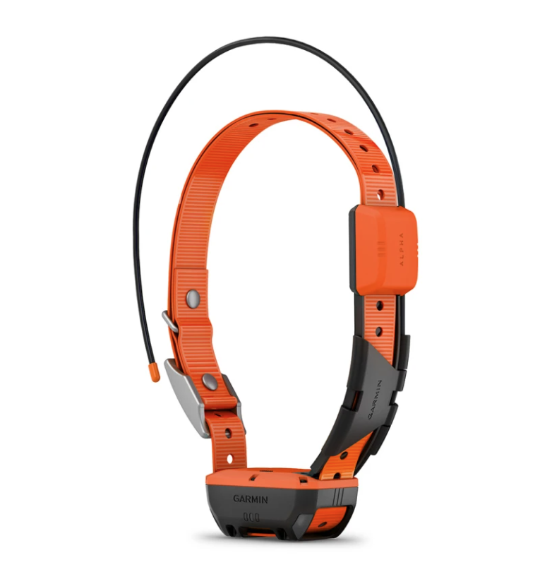 Collier Garmin Alpha T20K GPS collar